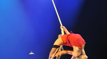 Spectacle annuel Tohu 2009