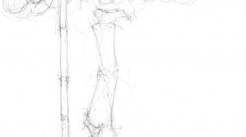 SÃ©quence 8 dessin TEK - Hoops, Anneaux chinois